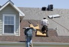 Shackletonskylights-2.jpg; ?>